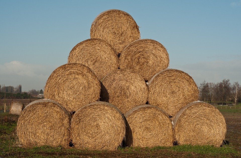 Réglementation Environnementale 2020 > La révolution est en marche ! - La Maison Écodulor - Bâtir l'avenir ensemble